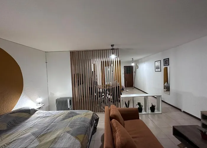 Departamento En Centro Mendoza