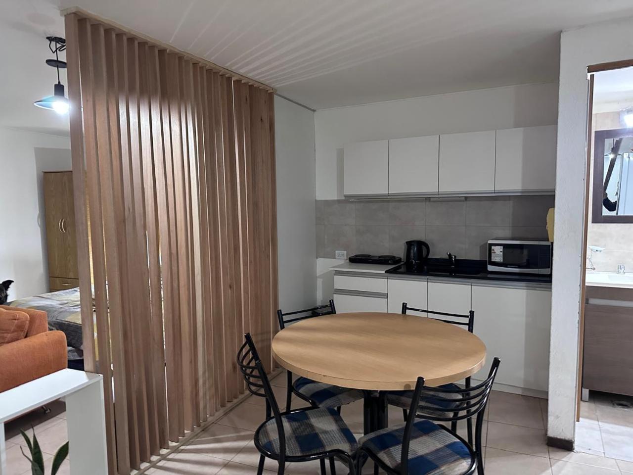 Departamento En Centro Apartment Mendoza